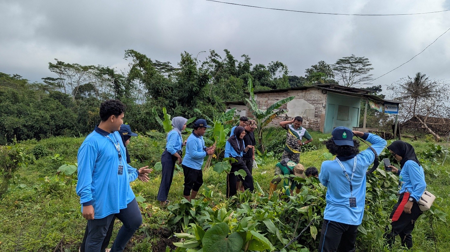Mahasiswa KKN MIT Ke-21 UIN Walisongo Semarang Melakukan Penghijauan di Desa Sidomulyo